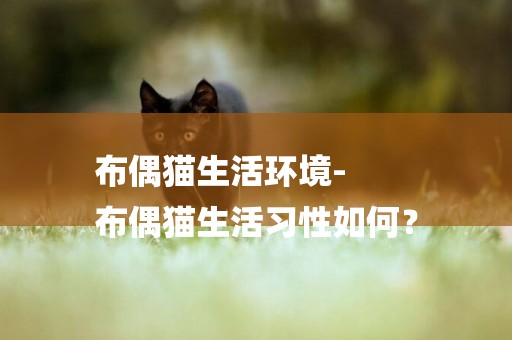 布偶貓生活環境-
布偶貓生活習性如何？