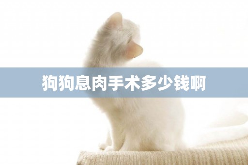 狗狗息肉手術多少錢啊