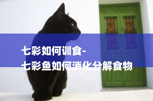 七彩如何訓食-
七彩魚如何消化分解食物