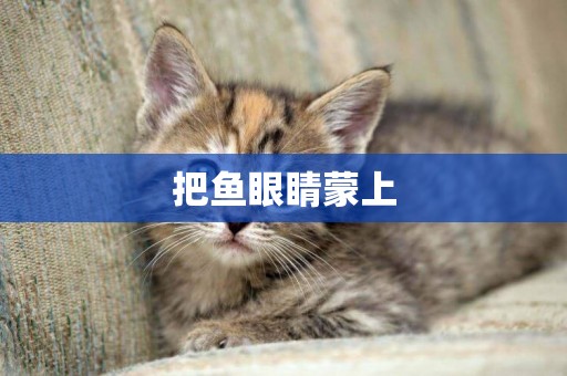 把魚眼睛蒙上
