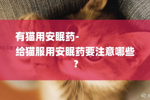 有貓用安眠藥-
給貓服用安眠藥要注意哪些？