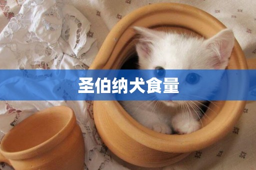 圣伯納犬食量