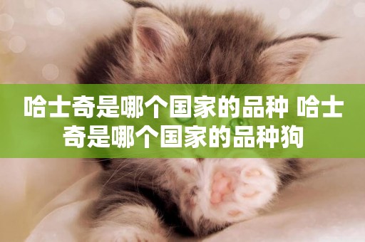 哈士奇是哪個國家的品種 哈士奇是哪個國家的品種狗