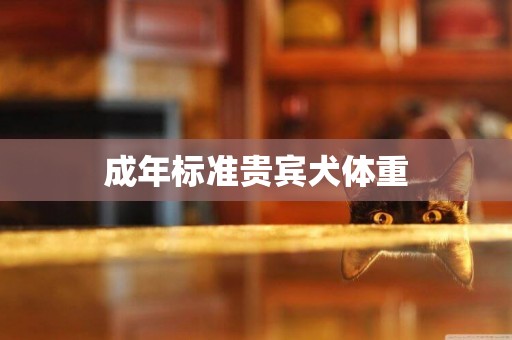 成年標準貴賓犬體重