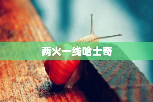 兩火一線哈士奇