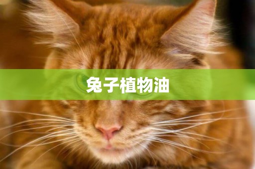 兔子植物油