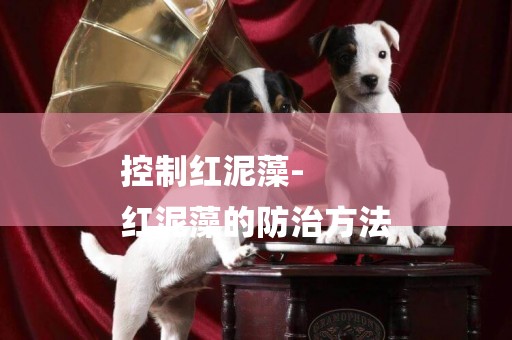 控制紅泥藻-
紅泥藻的防治方法