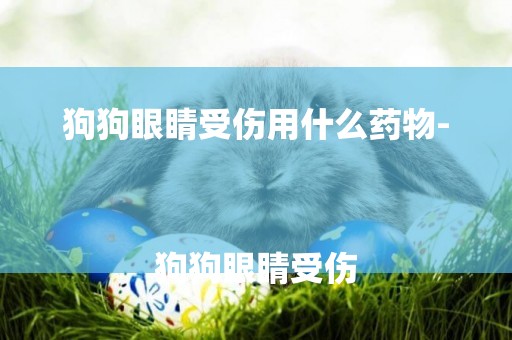 狗狗眼睛受傷用什么藥物-
狗狗眼睛受傷
