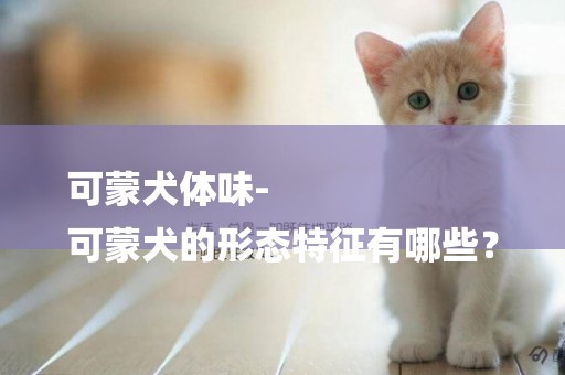 可蒙犬體味-
可蒙犬的形態特征有哪些？