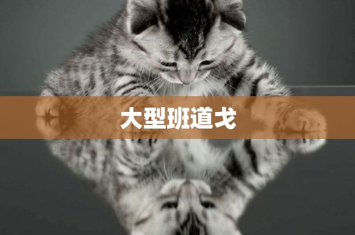 大型班道戈