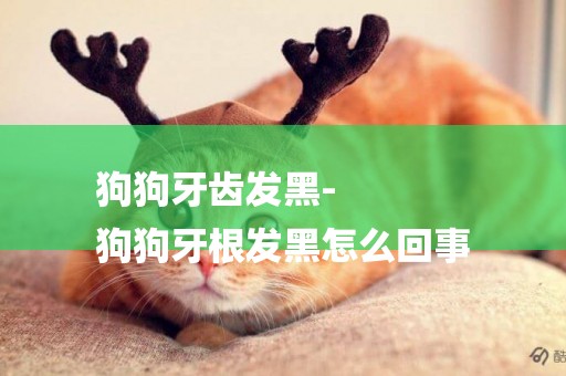 狗狗牙齒發黑-
狗狗牙根發黑怎么回事