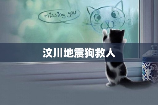 汶川地震狗救人