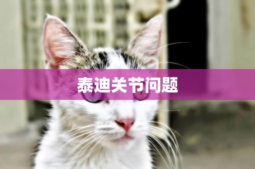 泰迪關節問題