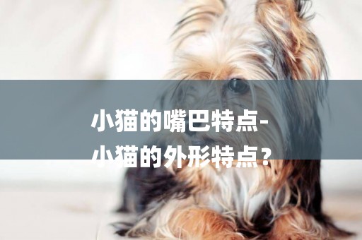 小貓的嘴巴特點-
小貓的外形特點？