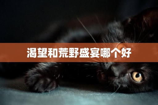 渴望和荒野盛宴哪個好
