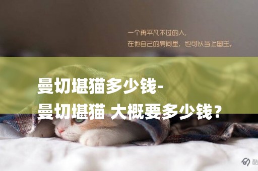 曼切堪貓多少錢-
曼切堪貓 大概要多少錢？