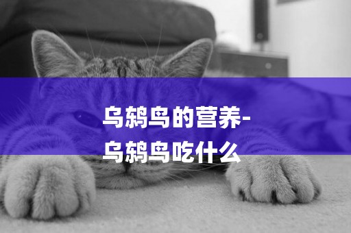 烏鶇鳥的營養-
烏鶇鳥吃什么