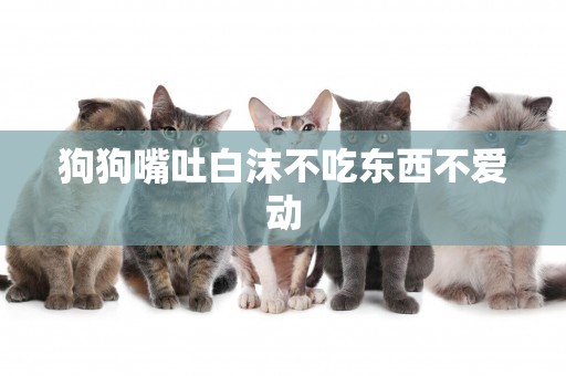 狗狗嘴吐白沫不吃東西不愛動