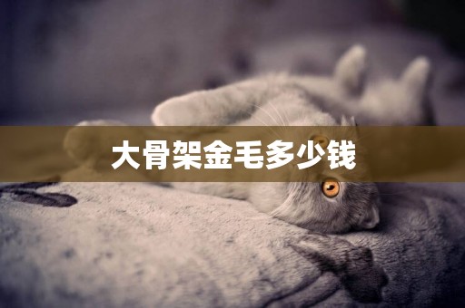 大骨架金毛多少錢