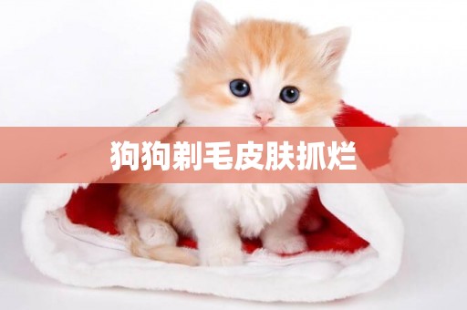 狗狗剃毛皮膚抓爛