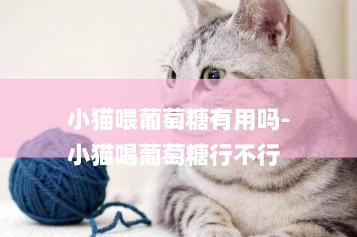 小貓喂葡萄糖有用嗎-
小貓喝葡萄糖行不行