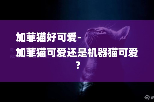 加菲貓好可愛-
加菲貓可愛還是機器貓可愛？