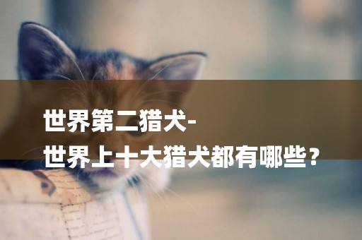世界第二獵犬-
世界上十大獵犬都有哪些？