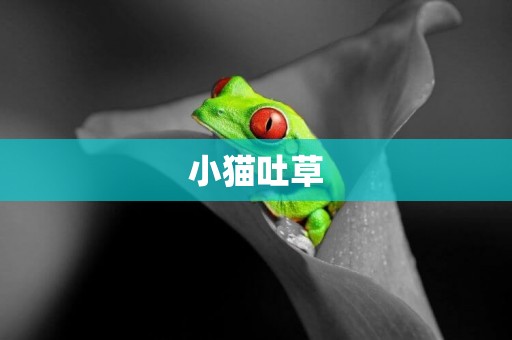 小貓吐草