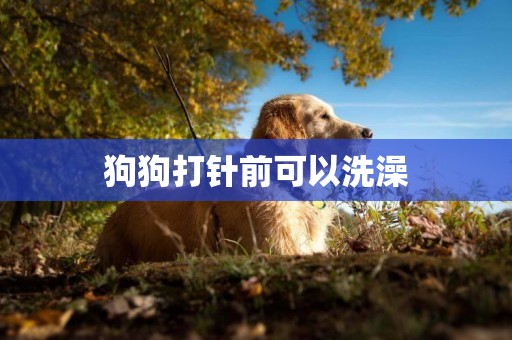 狗狗打針前可以洗澡