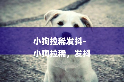 小狗拉稀發抖-
小狗拉稀，發抖