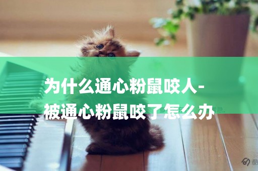 為什么通心粉鼠咬人-
被通心粉鼠咬了怎么辦