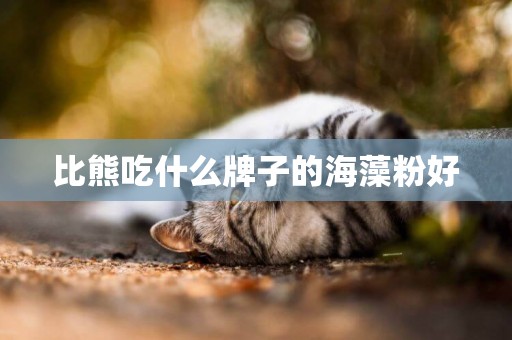 比熊吃什么牌子的海藻粉好