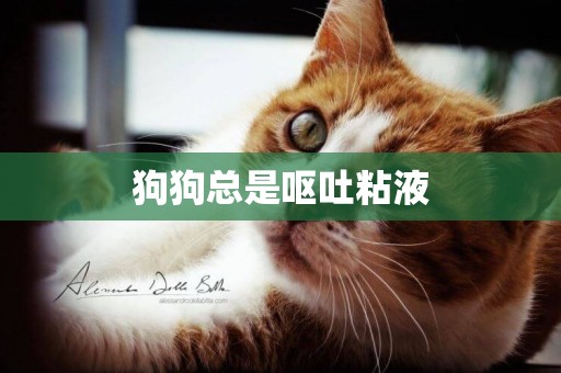 狗狗總是嘔吐粘液