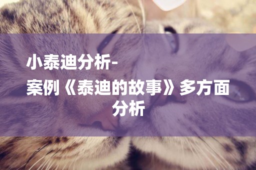 小泰迪分析-
案例《泰迪的故事》多方面分析