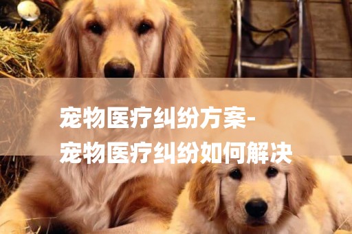 寵物醫療糾紛方案-
寵物醫療糾紛如何解決