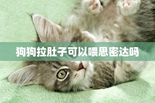 狗狗拉肚子可以喂思密達嗎