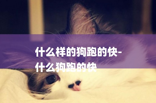 什么樣的狗跑的快-
什么狗跑的快