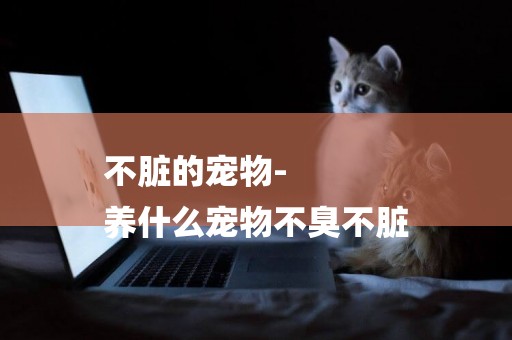 不臟的寵物-
養什么寵物不臭不臟