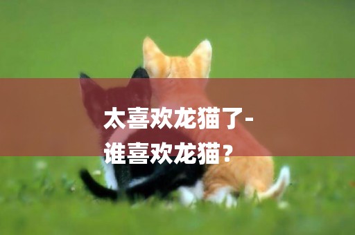 太喜歡龍貓了-
誰喜歡龍貓？