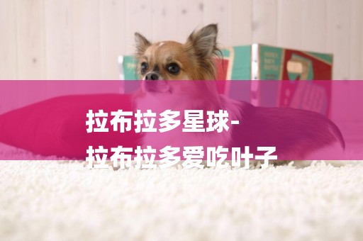 拉布拉多星球-
拉布拉多愛吃葉子