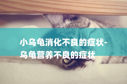 小烏龜消化不良的癥狀-
烏龜營養不良的癥狀