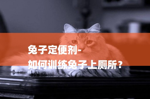 兔子定便劑-
如何訓練兔子上廁所？