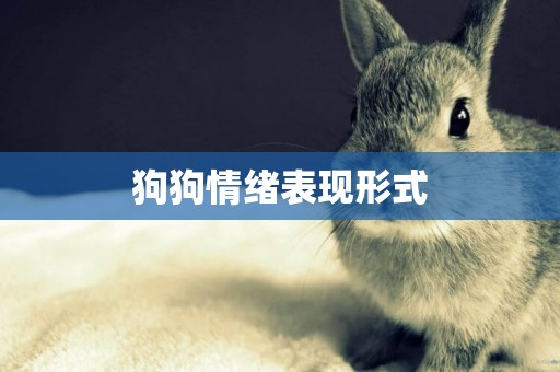 狗狗情緒表現形式
