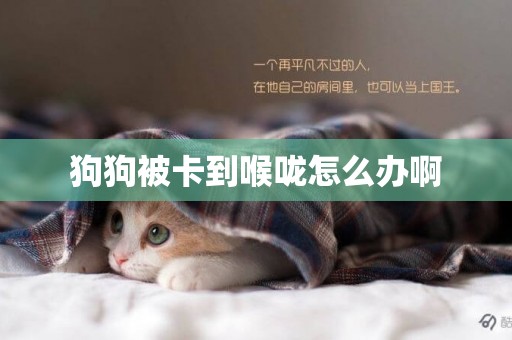 狗狗被卡到喉嚨怎么辦啊