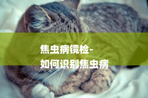 焦蟲病鏡檢-
如何識別焦蟲病