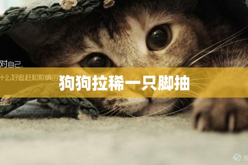 狗狗拉稀一只腳抽