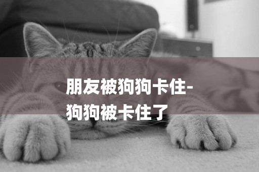 朋友被狗狗卡住-
狗狗被卡住了