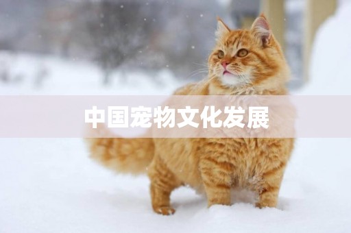 中國寵物文化發展