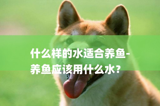什么樣的水適合養魚-
養魚應該用什么水？