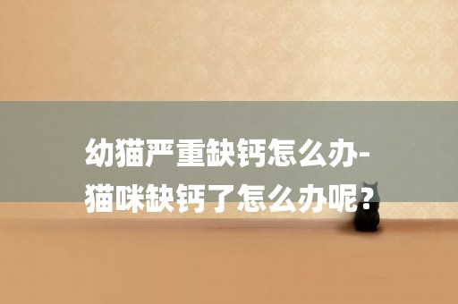 幼貓嚴重缺鈣怎么辦-
貓咪缺鈣了怎么辦呢？